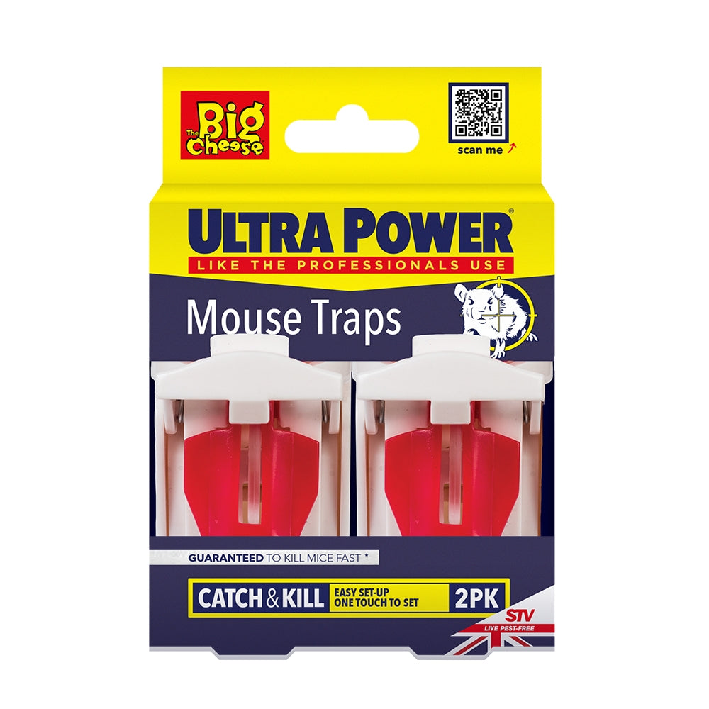 24 Bulk Bolt Pest Mouse Trap 2PK Jumbo Box - at 