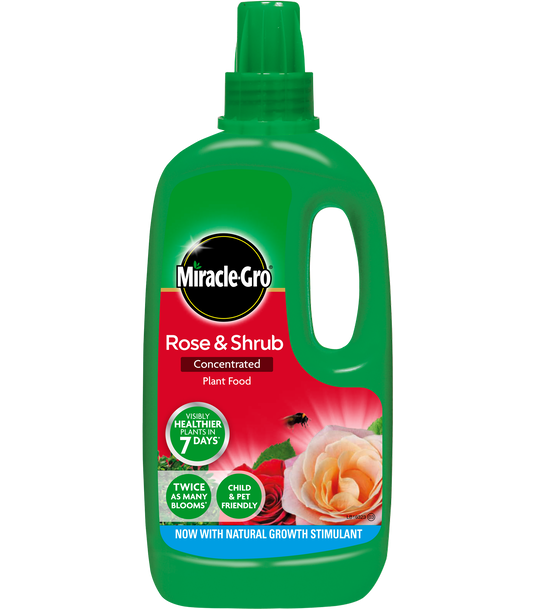 Miracle Gro Rose & Shrub Concentrated Plant Food 1L