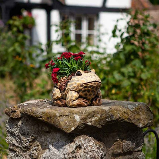 Smart Garden Frog Planter