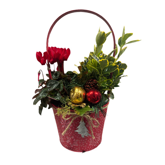 Christmas Basket Planter - In Store Only