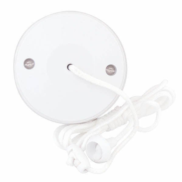 Selectric 10A 2 Way Ceiling Switch