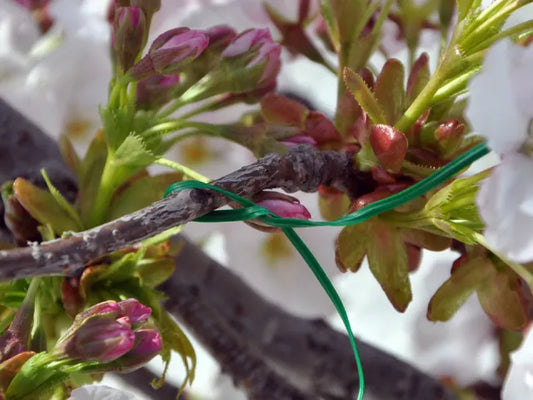 Nutscene Green 6" Plastic Covered Plant Ties