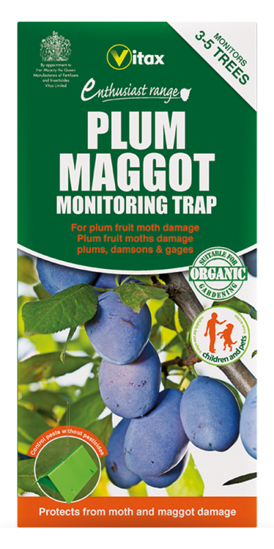 Vitax Plum Maggot Trap