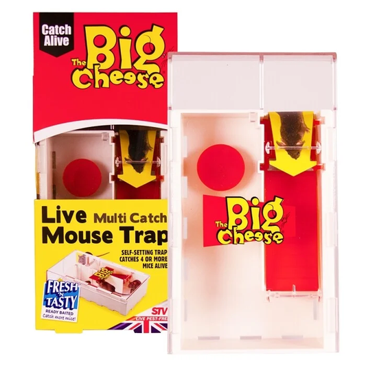 STV STV162 Live Multi Catch Mouse Trap