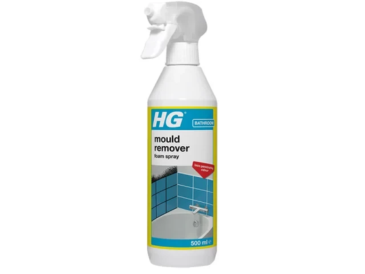 HG Mould Remover Foam Spray