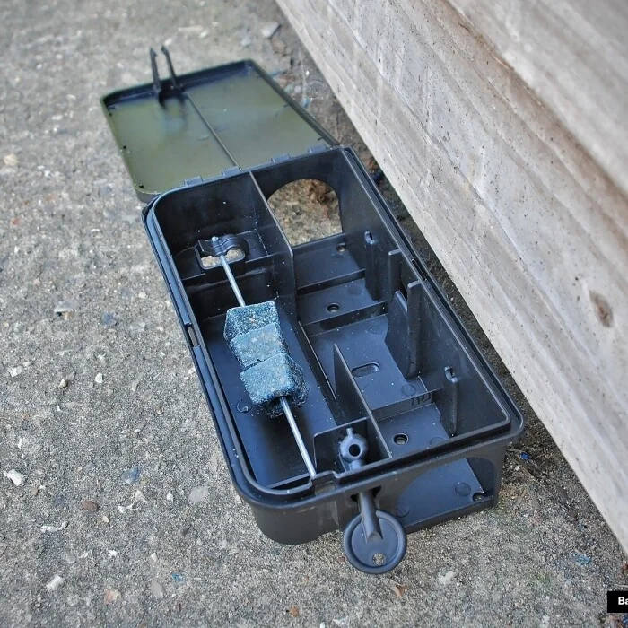 STV STV179 Rat & Mouse Bait Station